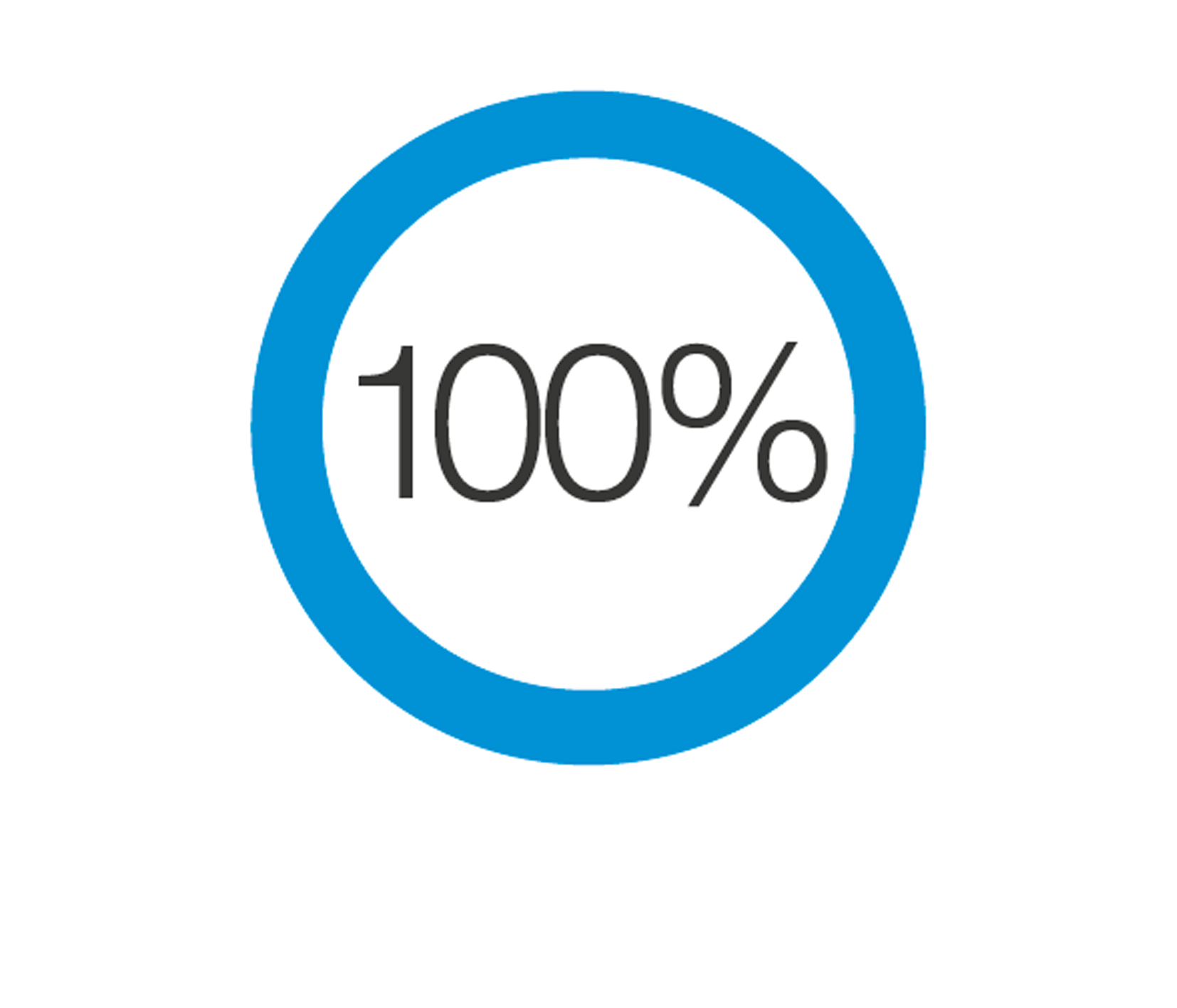 CSR-2020-100%-raised.png